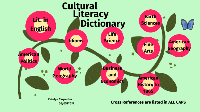 American Education System and Cultural Literacy