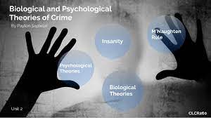 Biological theories of crime