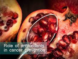 The role of antioxidants in cancer prevention