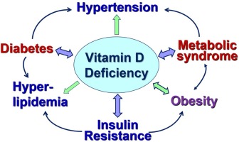 The connection between vitamin D deficiency and diabetes mellitus type II.