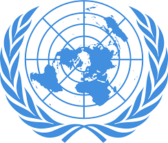 The role of the UN in the world politics