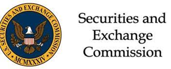 The Role of the U.S. Securities and Exchange Commission