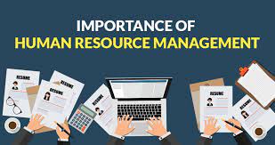 The Role of Human Resource Management in an Organization