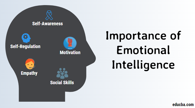 Role of Emotional Intelligence in Personal Education