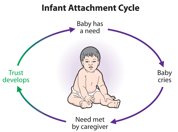 Attachment and Its Role in Child Development
