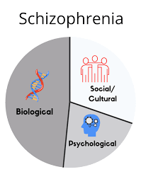 Schizophrenia Disorder: Causes and Treatment