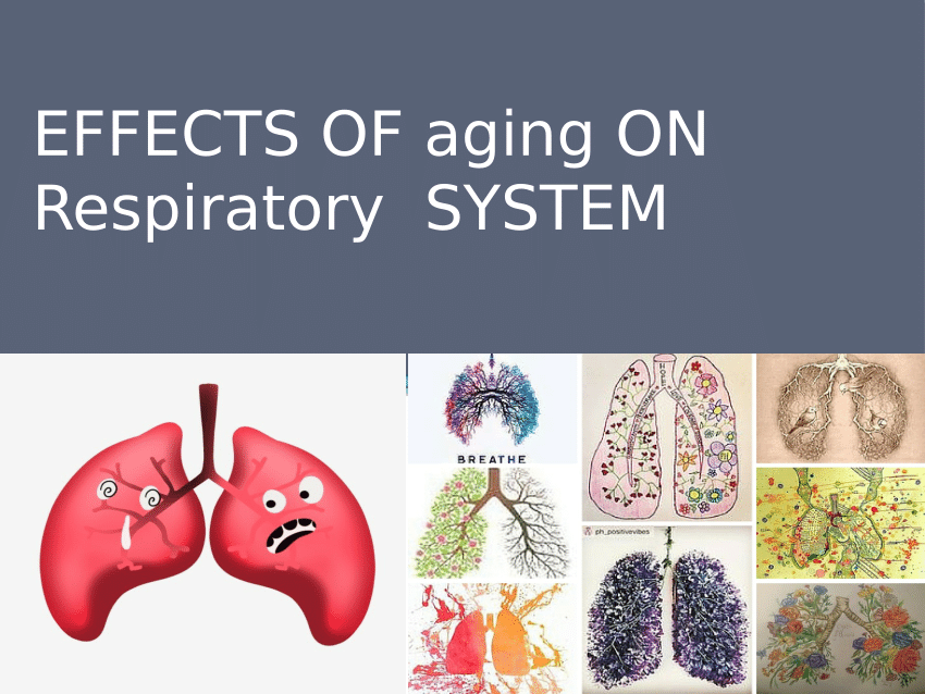 Effects of Aging on the Respiratory System