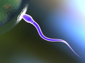 Male Reproductive Health Problems in Medical Research