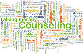 Counseling Profession in Special Education