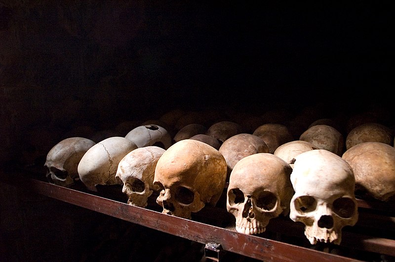 The Rwanda Genocide and the Colonial Politics