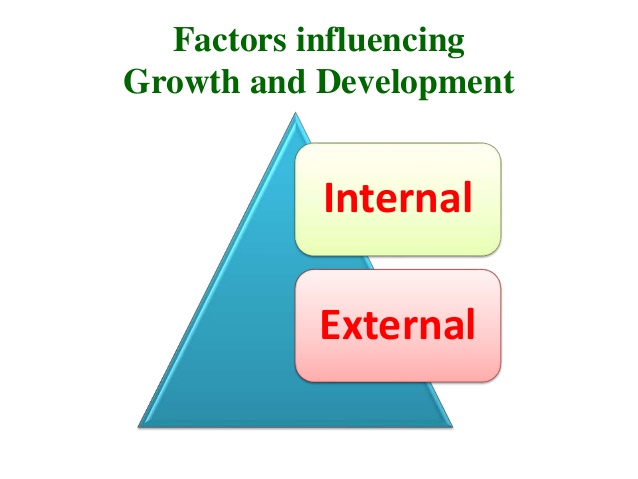External and Internal Factors of Child Development