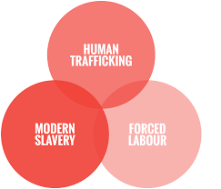 Human trafficking: methods of deception, risk groups, ways of detection and prevention